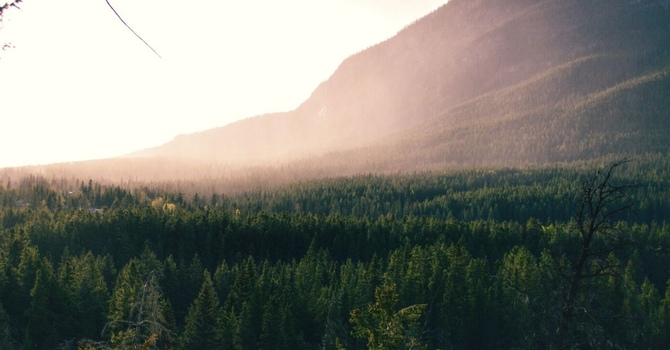 Understanding Pain in Rehab: What It Really Means